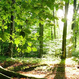 Сергей, Москва