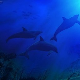 Оля, Москва