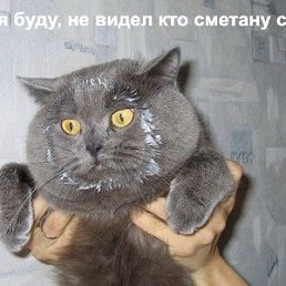 Ирина, Киев