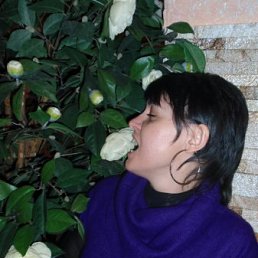 Екатерина, Москва