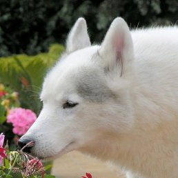 Марина, Санкт-Петербург