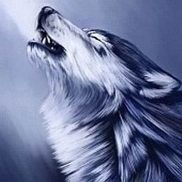 Ваня, Москва