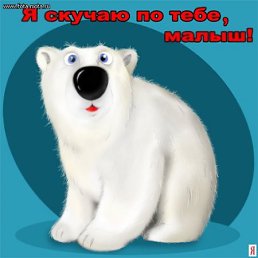 Максим, Новосибирск