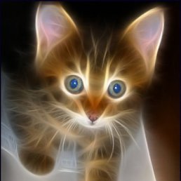 Сашулька, Санкт-Петербург