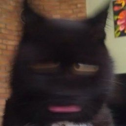 Олег, Дзержинск