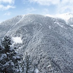 Сергей, Санкт-Петербург