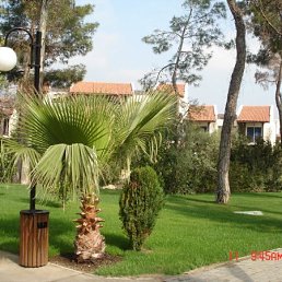 Кристи, Москва