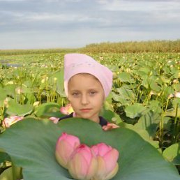 Оля, Западная Двина