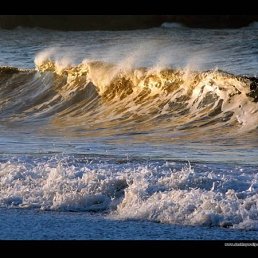 Антон, Киев