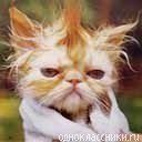 Натали, Москва