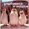 Владимир, Лисичанск