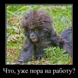 Denisceban, Москва