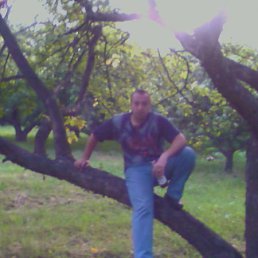 Teratos, Санкт-Петербург