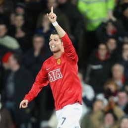 Лис, Краснодар