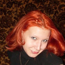 Кошка, Москва