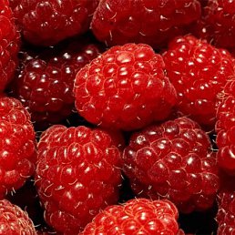 Катерина, Москва