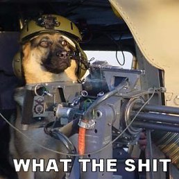 Виктор, Москва